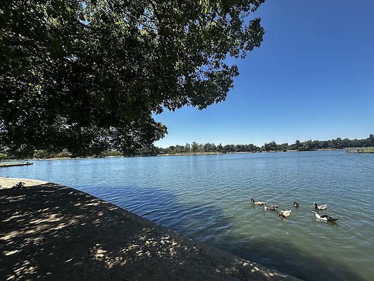Lake Balboa