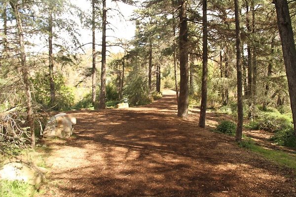 Cedar Grove