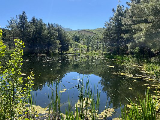 Golden Oak Woods:Lake