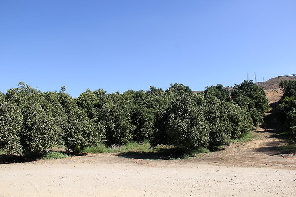 IMG 8494